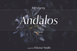 Andolas: Redefining the Future of Digital Innovation