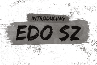 Edo SZ: A Comprehensive Review for Modern Professionals