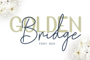 Golden Bridge: A Comprehensive Evaluation of Its Value and Utility