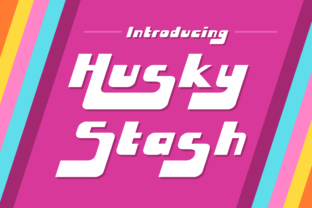 How Husky Stash Can Transform Your Workflow and Daily Life