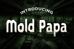 Mold Papa: A Practical Guide for Homeowners and Businesses