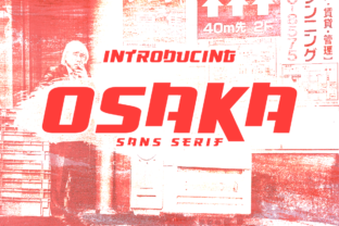 Osaka: A Strategic Tool for Better Decision-Making and Results