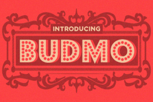 Strategic Use of Budmo for Better Decision-Making and Results