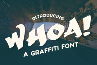 Whoa: A Practical Guide to Understanding Its Value and Fit